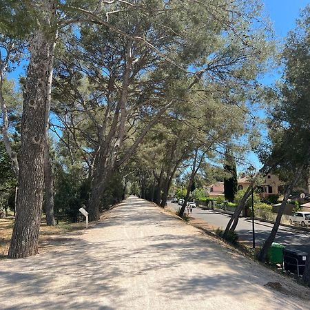 Petit Mas Au Paradis Avec Piscine Pour 6 Personnes La Londe-les-Maures Zewnętrze zdjęcie