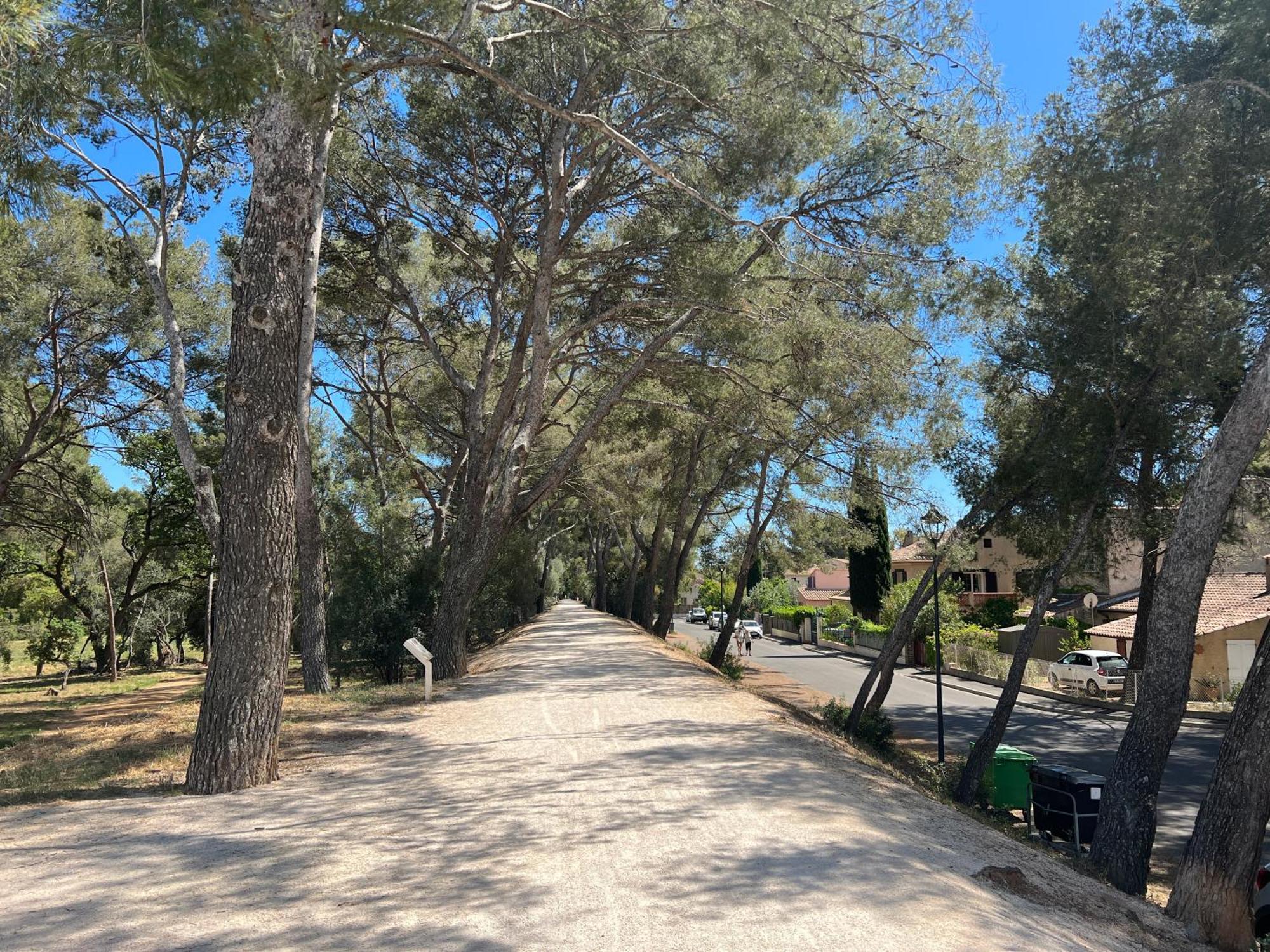 Petit Mas Au Paradis Avec Piscine Pour 6 Personnes La Londe-les-Maures Zewnętrze zdjęcie